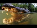 AFRICAN MAN VS WILD,,,,,, Lawi almost got spooked by the alligators