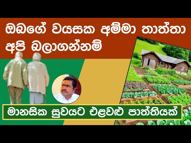 වෙදමහත්තයාගෙන් ඉදිවෙන වැඩිහිටි නිවාසය - Elder home