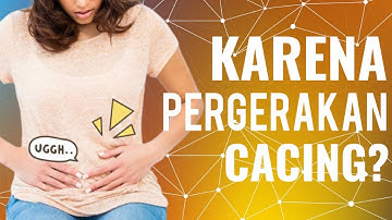 Kenapa Perut Bunyi Saat Lapar? Yuk Cari Tau Penyebabnya Disini