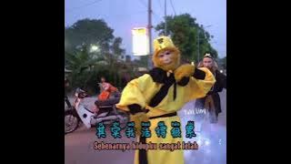 Qi Shi Wo Hen Lei 其实我很累 - Remix DJ - Sebenarnya aku sangat lelah