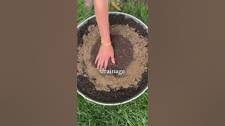 Here’s why adding sand to your garden soil might be what you’re missing🙌#garden #sand #soil #plants