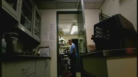 The Link - Darwinius Masillae - Ida Documentary - 4 of 6 BBC (22 of 30) ORKUT Community and Profile