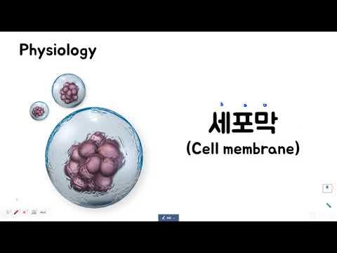 생리학_세포막(Cell membrane)