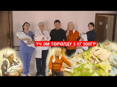 Video: Февраль ымыркайлары эмне деп аталат?