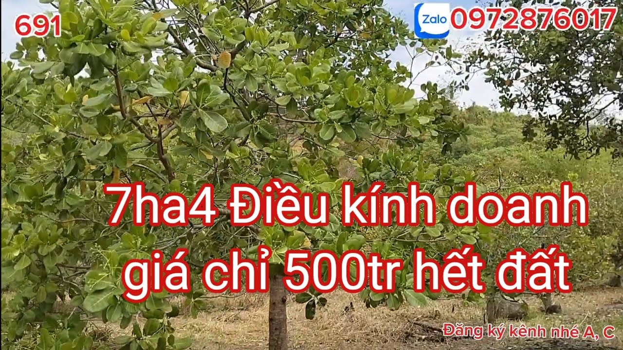 7ha4 Điều kính doanh, mua đầu tư, để dành, vì đẹp. giá lại cực rẻ 