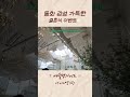 동화 감성 가득한 결혼식 이벤트👍🏻