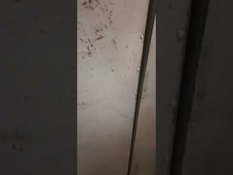 Коммунальная авария Сковородино
