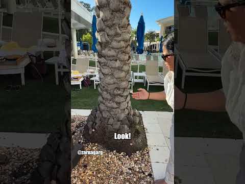 Unwanted Visitor