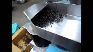 Filling hopper + Desktop Spring Separator (เครื่องแยกสปริง)