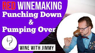 Thumbnail for WSET Level 4 (Diploma) Red wine making: Punching Down and Pumping Over