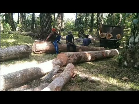 Wajah 2 letih,lelah menghiasi para pasukan kitri