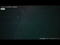 【ペルセウス座流星群2026】活動ピーク時をダイジェストでイッキ見！