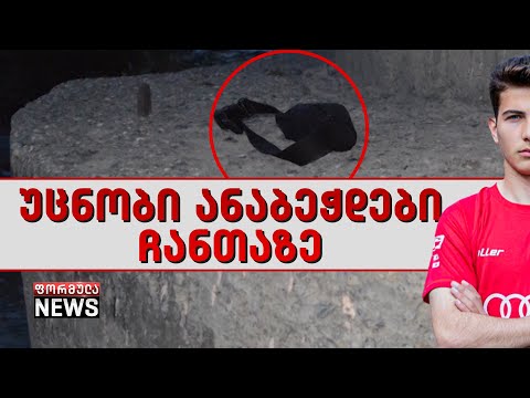 შაქარაშვილის ჩანთაზე აღმოჩენილ გენეტიკურ პროფილებს შორის ბრალდებულების დნმ არაა