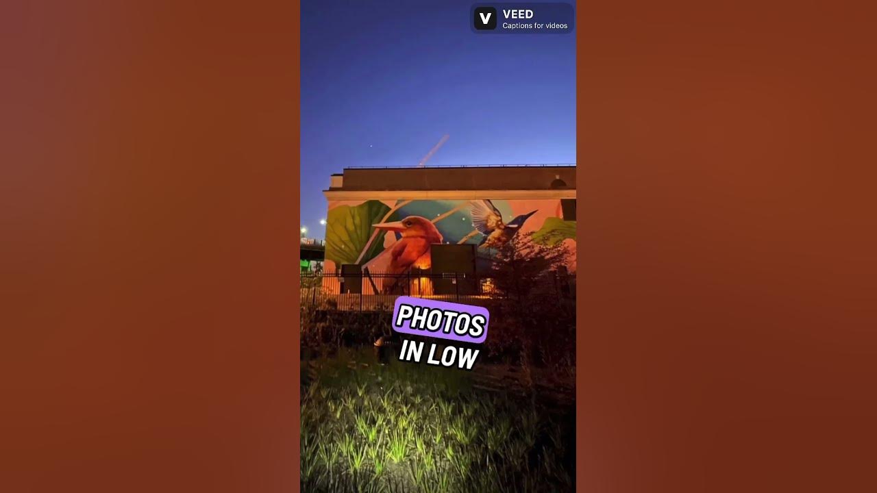 how-to-take-stunning-night-mode-photos-with-your-iphone-youtube