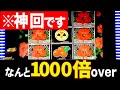 【過去最高記録】「1000倍over」今回のワイルドローゼス、めっちゃやばいです...！【メダルゲーム】