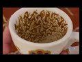 Virgo Watch This When You Feel Like Quitting Coffee Cup Reading