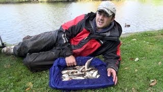 Pole Fishing For Roach On The Tidal River Yare