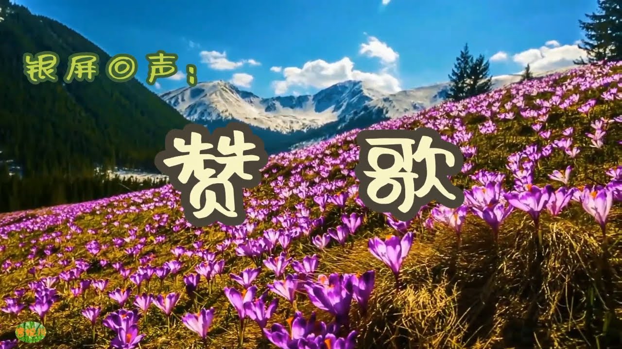 赞歌 - 银屏回声。演唱：胡松华 - YouTube