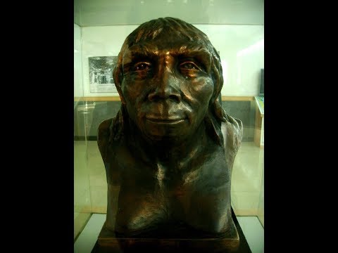 пекинский человек или