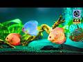 Underwater Lullaby: 1 Hour of Relaxing 4K Scenery &amp; Deep Sleeping Piano Music