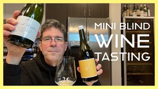 Sports Performance Mini Blind Wine Tasting/Funneling Technique