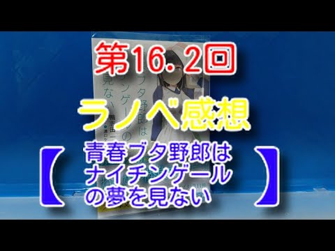 オタ部屋解放　第16.2回　ラノベ感想　【青春ブタ野郎はナイチンゲールの夢を見ない】