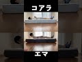 コアラマットレス vs エマスリープ【1分で違い比較】