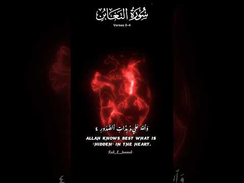 Allah Knows Best What Is Hidden In The Heart Surah At Taghabun Quran Islamic Shorts Quran