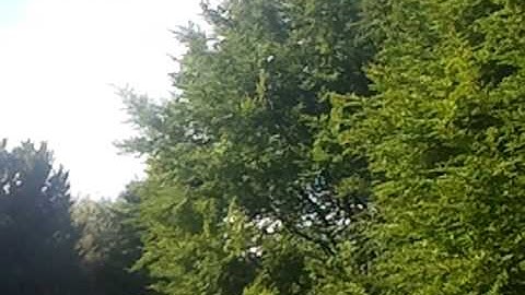 Quadcopter Flight With Improved Setup - Multiwii Quad