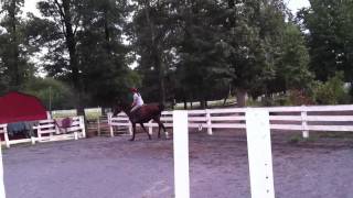 Flatwork with Spirit 1
