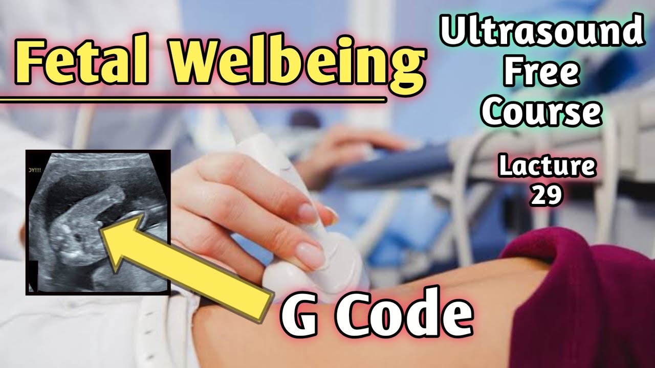 Gender Code On Ultrasound Report XY Meaning In Ultrasound XX In Gender Code On Ultrasound Report XY Meaning In Ultrasound XX In