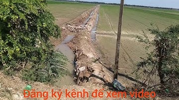 Đất Làm Vườn,Tdt 19 Công, Giá Bán 120tr/1 công, Huyện Tân Hưng long An