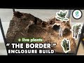 Half Desert Half Forest Enclosure Build Video