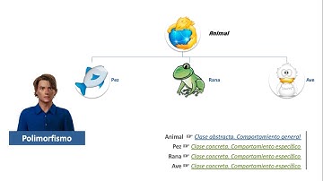Programación Orientada a Objetos, Polimorfismo