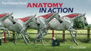 Printing and Making  the Book: Anatomy in Action