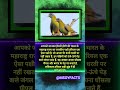 Rajikye pacchi ||| #gkinhindi #facts #rochakfacts #rochaktathya #factsinhindi #factsyoudidntknow