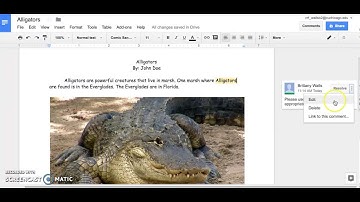How to Add a Comment to a Google Doc