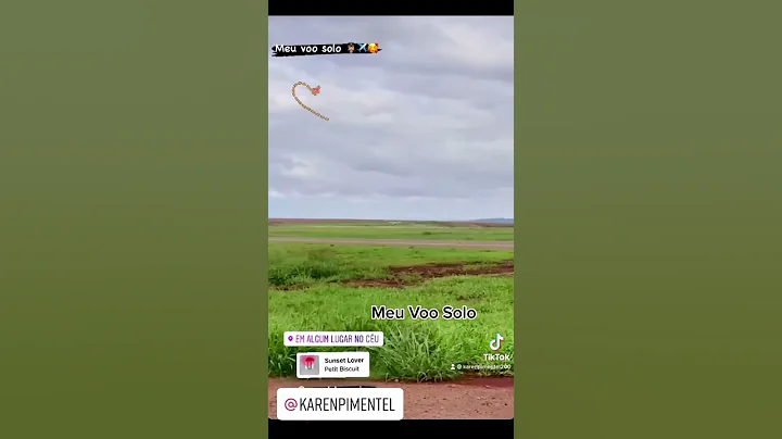 Voo Solo - Karen Pimentel