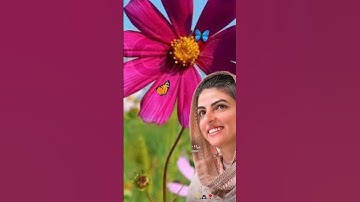 nirankari short #video #trend 🙏🙏🙏🙏🙏🥰🥰🥰🥰🥰🥰💕💕