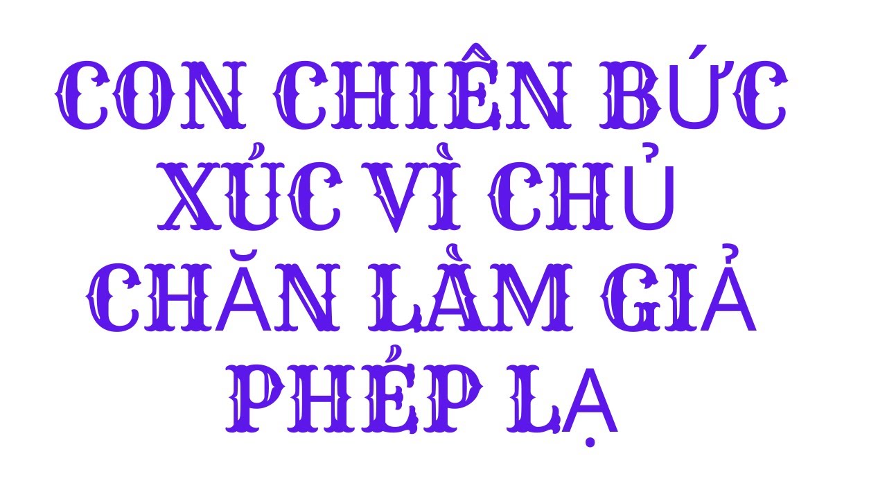 CON CHIÊN BỨC XÚC VÌ CHỦ CHĂN LÀM GIẢ PHÉP LẠ - YouTube