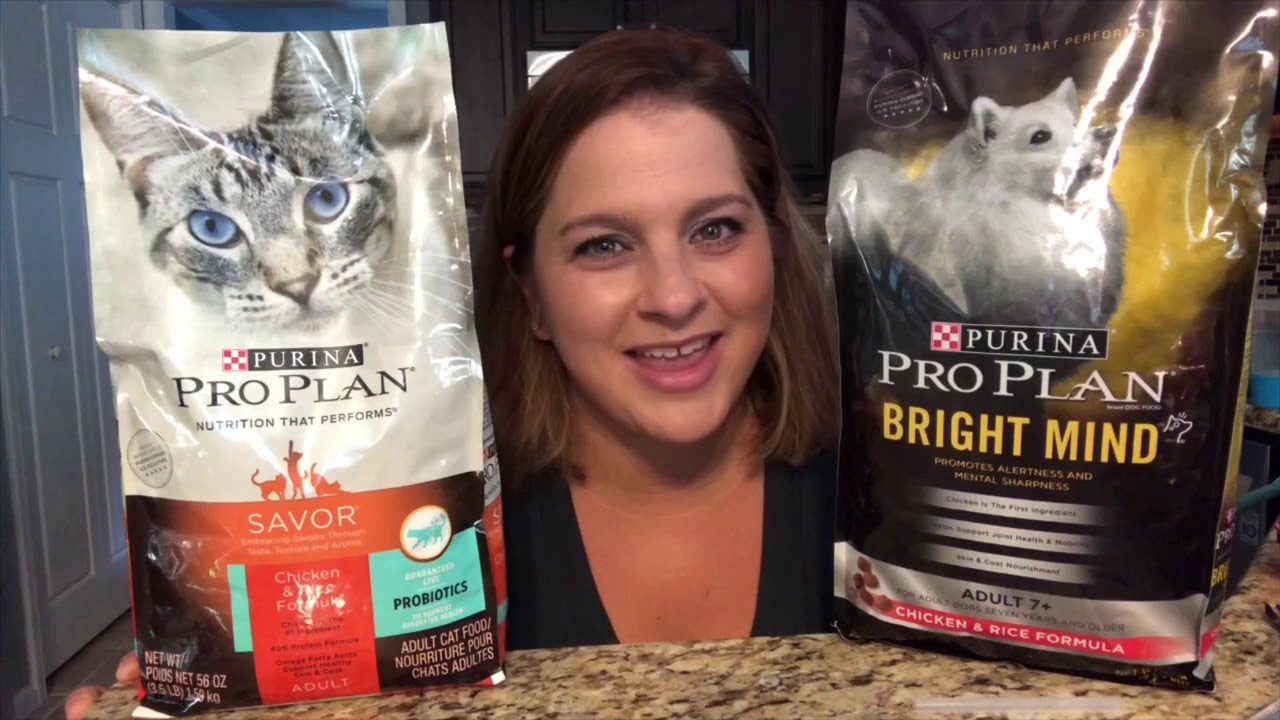 Have you joined Military Pet Club yet? YouTube