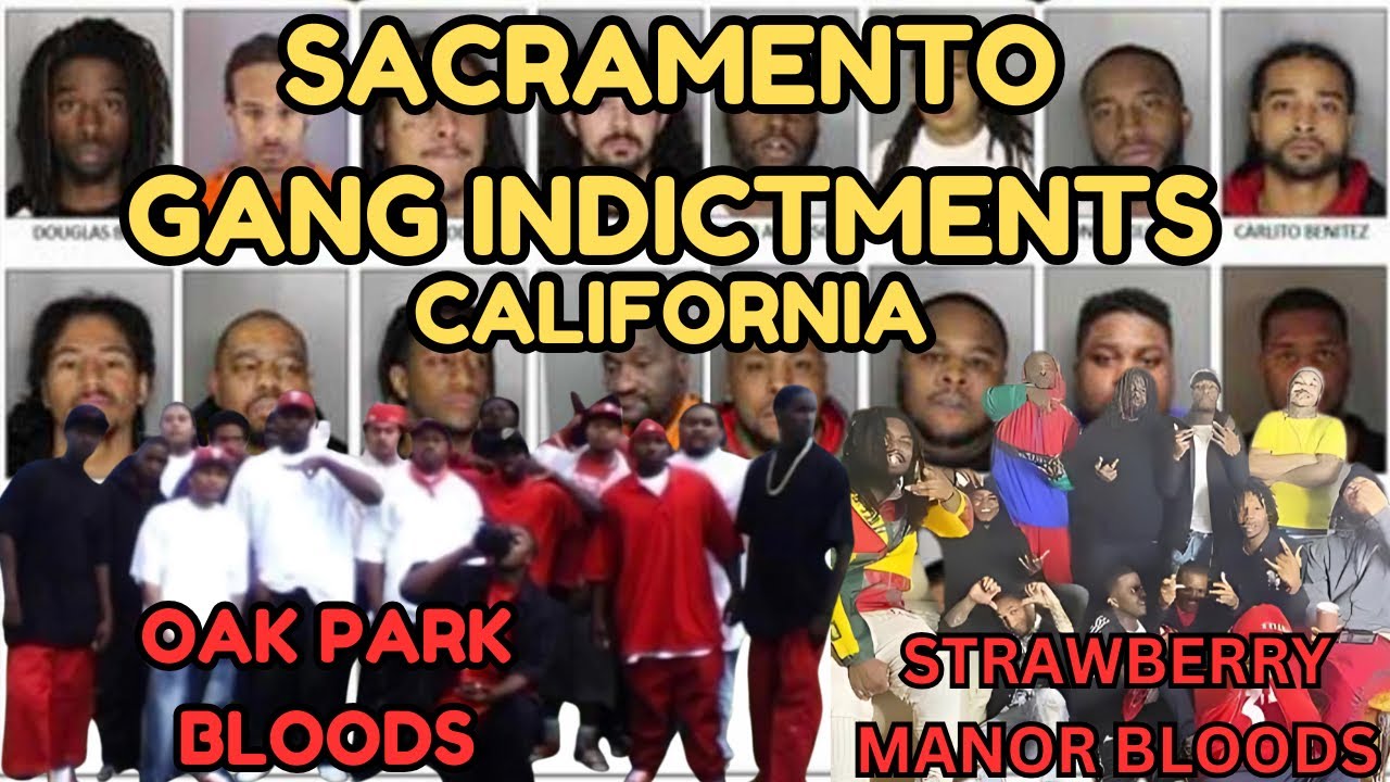 Sacramento Gang Indictments: Oak Park Bloods, Strawberry Manor Bloods & More  (California Gangs)