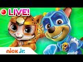 🔴 LIVE: PAW Patrol Mighty Pups & Cat Pack Rescues! | Nick Jr.