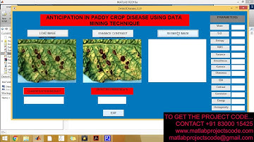 Detection and measurement of paddy leaf disease symptoms using image processing