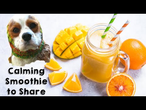 homemade raw dog treats