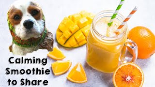 Healthy Homemade Dog Treat Recipe | Calming Dog Smoothie for Anxiety