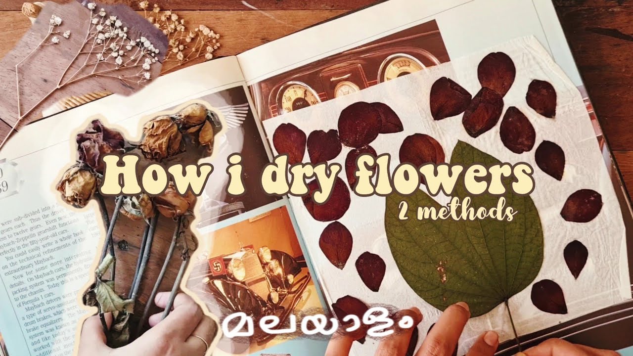 How i dry flowers | Malayalam | Safa with pen