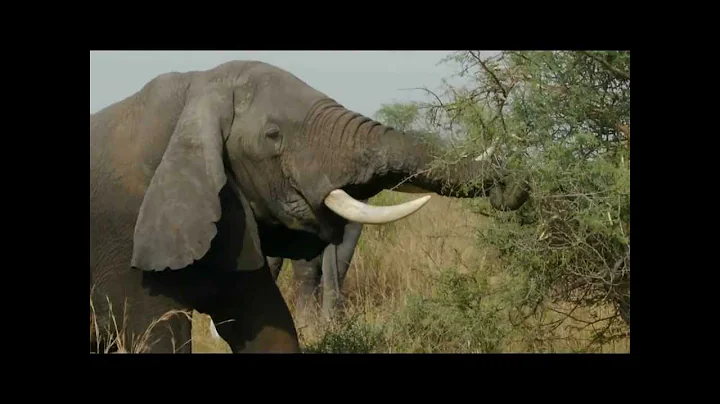 Craig and Brenda in AFRICA