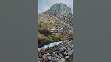 القارئ فارس عباد