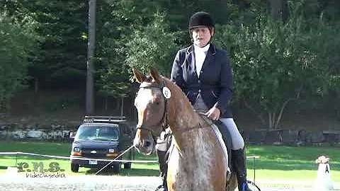 Cheryl Sackler & Presto GWF at GMHA Festival of Eventing 2020